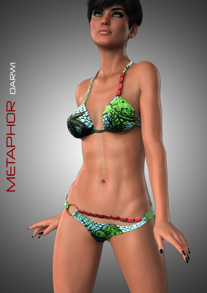 Darwi Poster METAPHOR